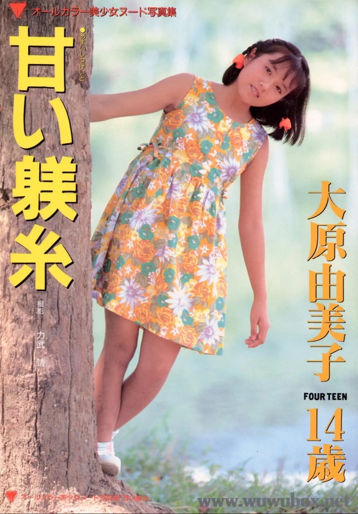 图集 313131
